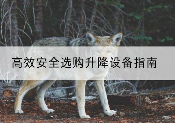 睢宁升降货梯厂家推荐-*安全选购升降设备指南