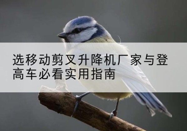 睢宁电动升降机厂家-选移动剪叉升降机厂家与登高车必看实用指南