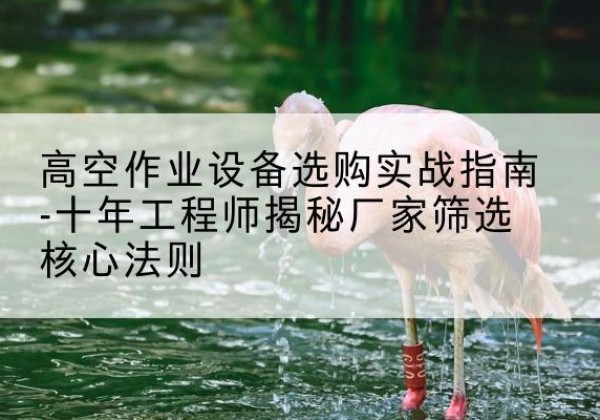 睢宁剪叉式升降机厂家-高空作业设备选购实战指南-十年工程师揭秘厂家筛选核心法则